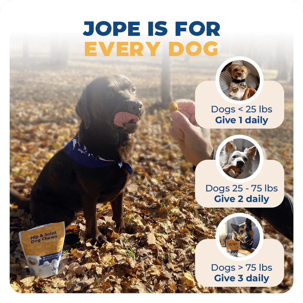 Jope Hip & Joint Dog Chews - 60 Count