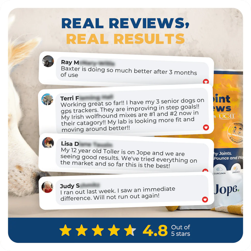 Jope Hip & Joint Dog Chews - 60 Count