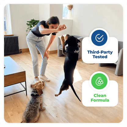 Jope Hip & Joint Dog Chews - 60 Count