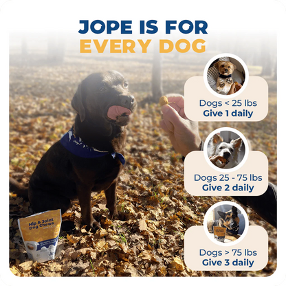 Jope Hip & Joint Dog Chews - 60 Count